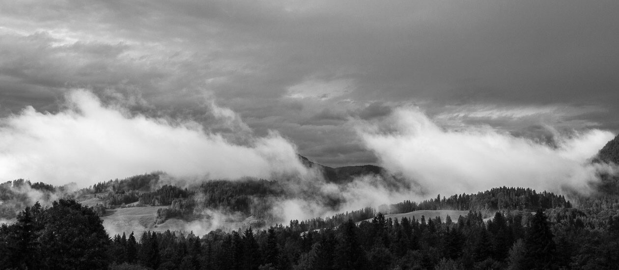 Bergwald nach Regen