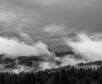 Bergwald nach Regen (Foto: STEFAN BARK)