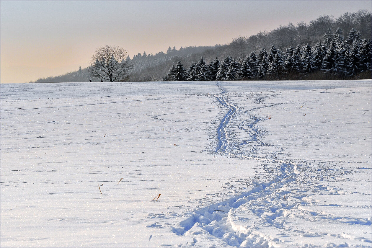 Zwei Spuren im Schnee