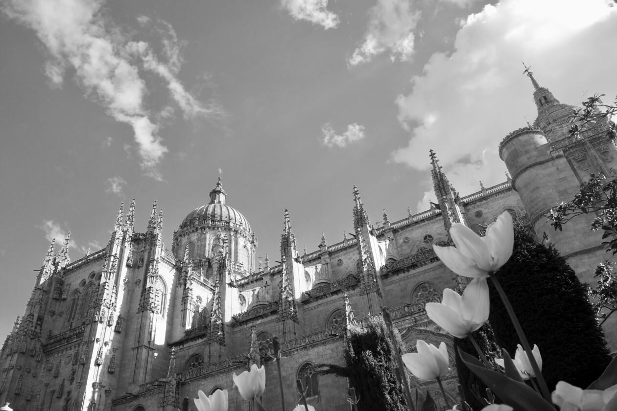 Kathedrale von Salamanca