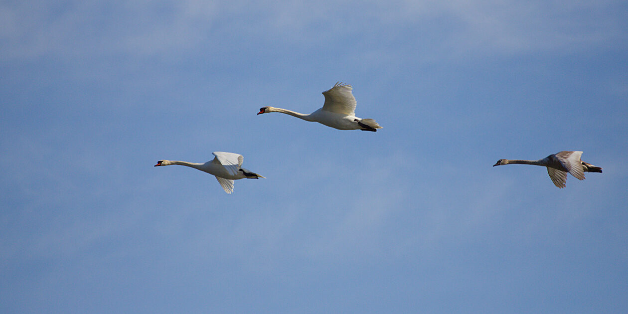 Familienausflug