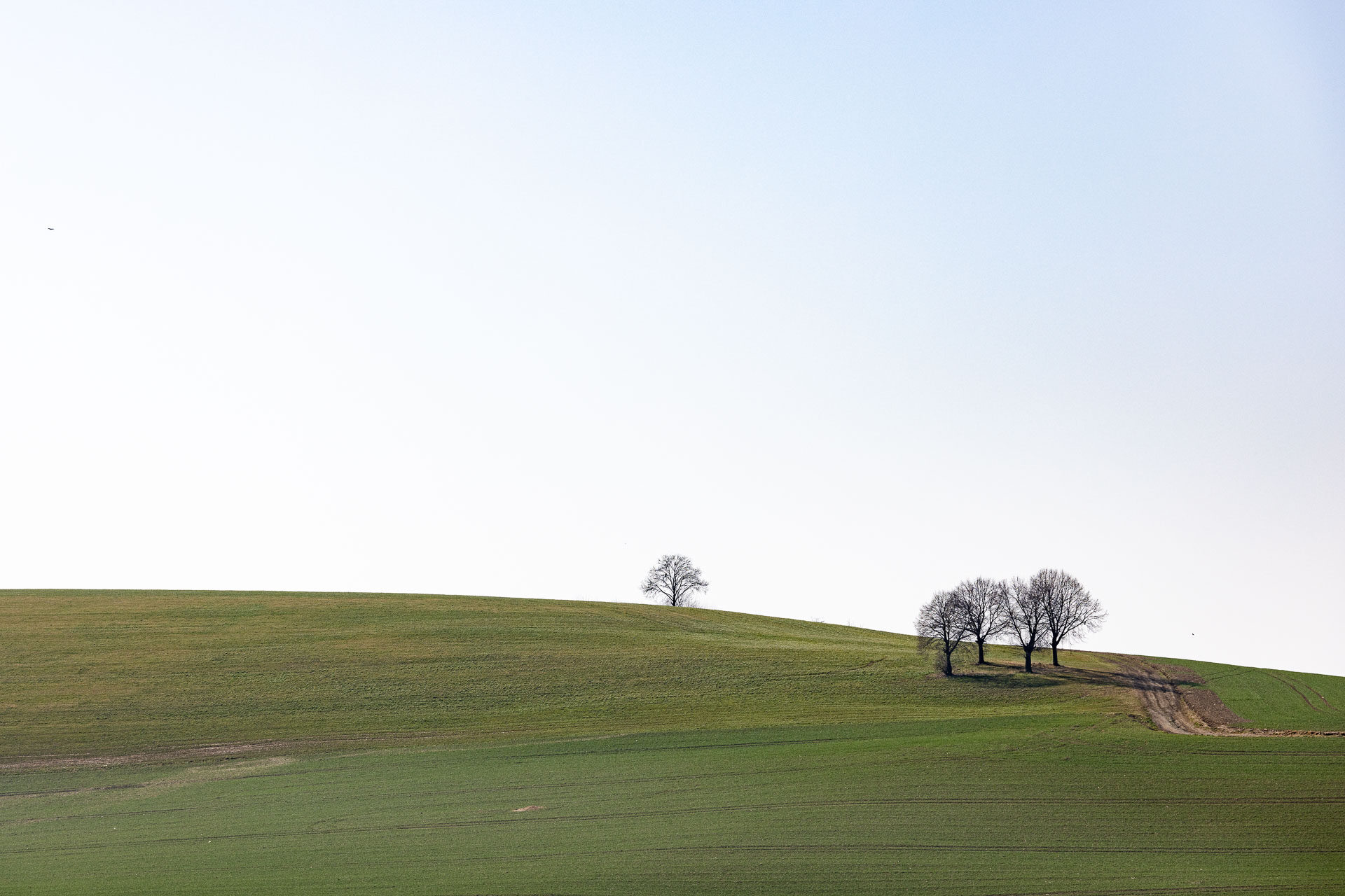 Farbstruktur