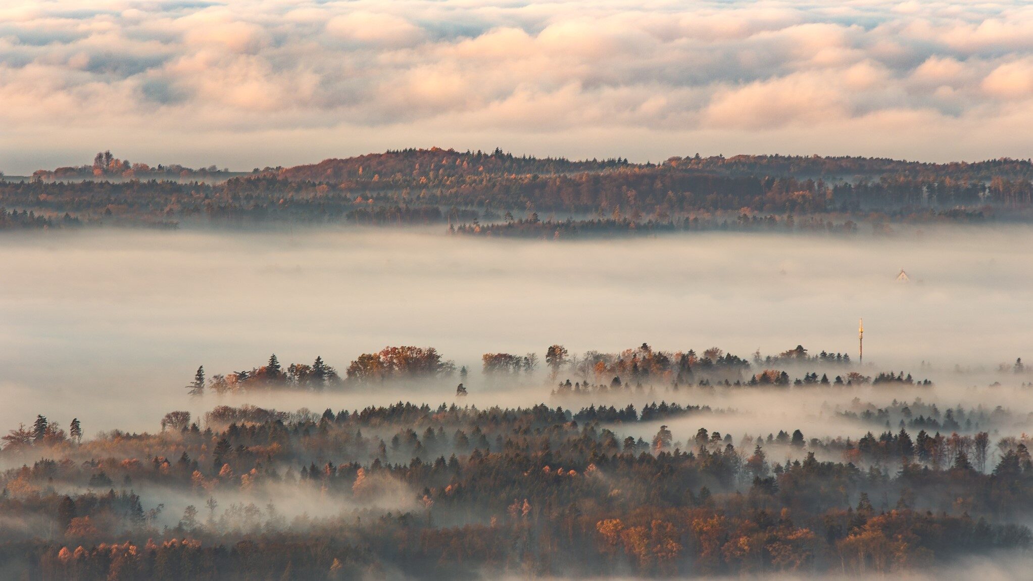 Herbstlandschaft