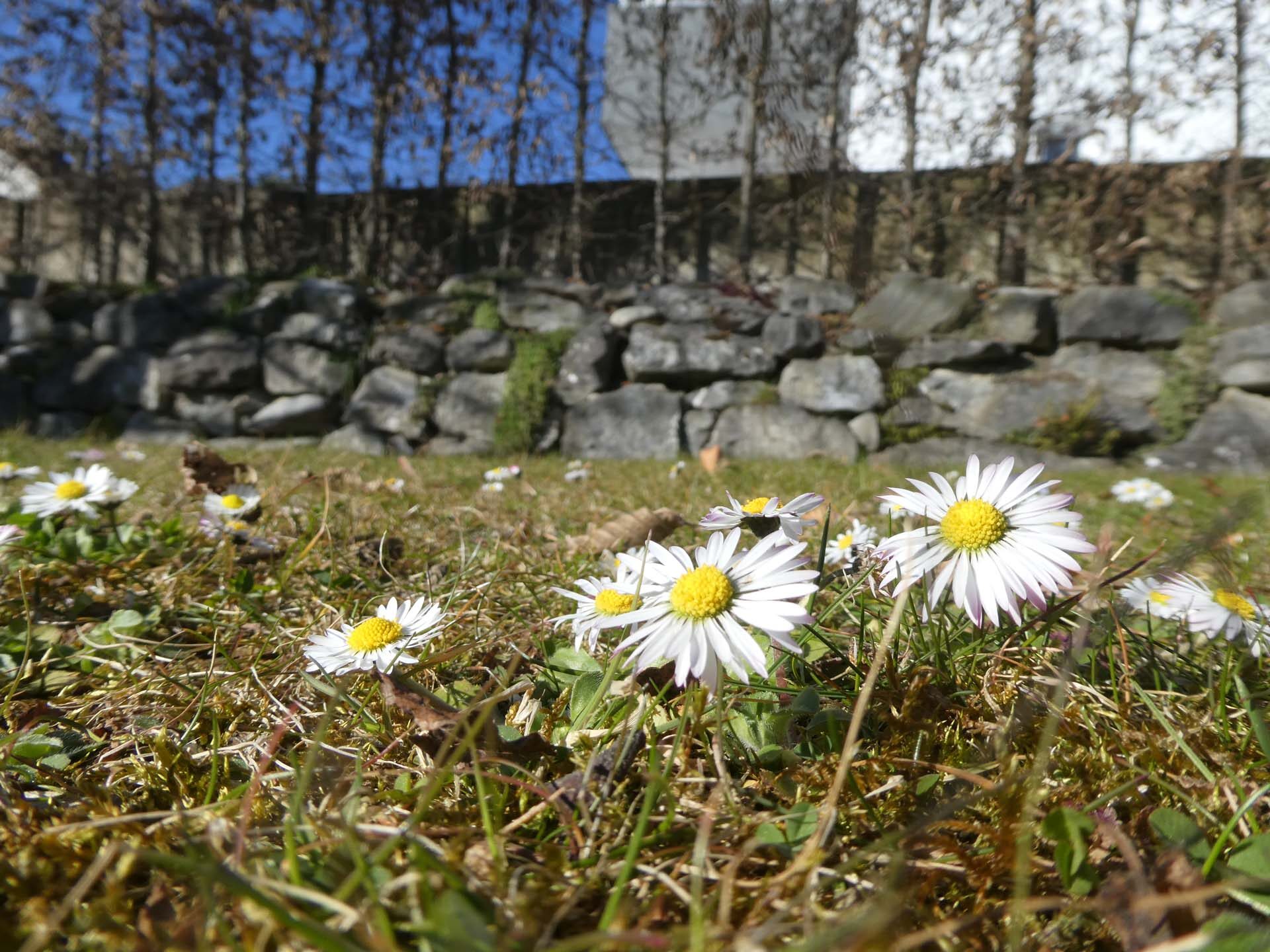 Der Frühling kommt!