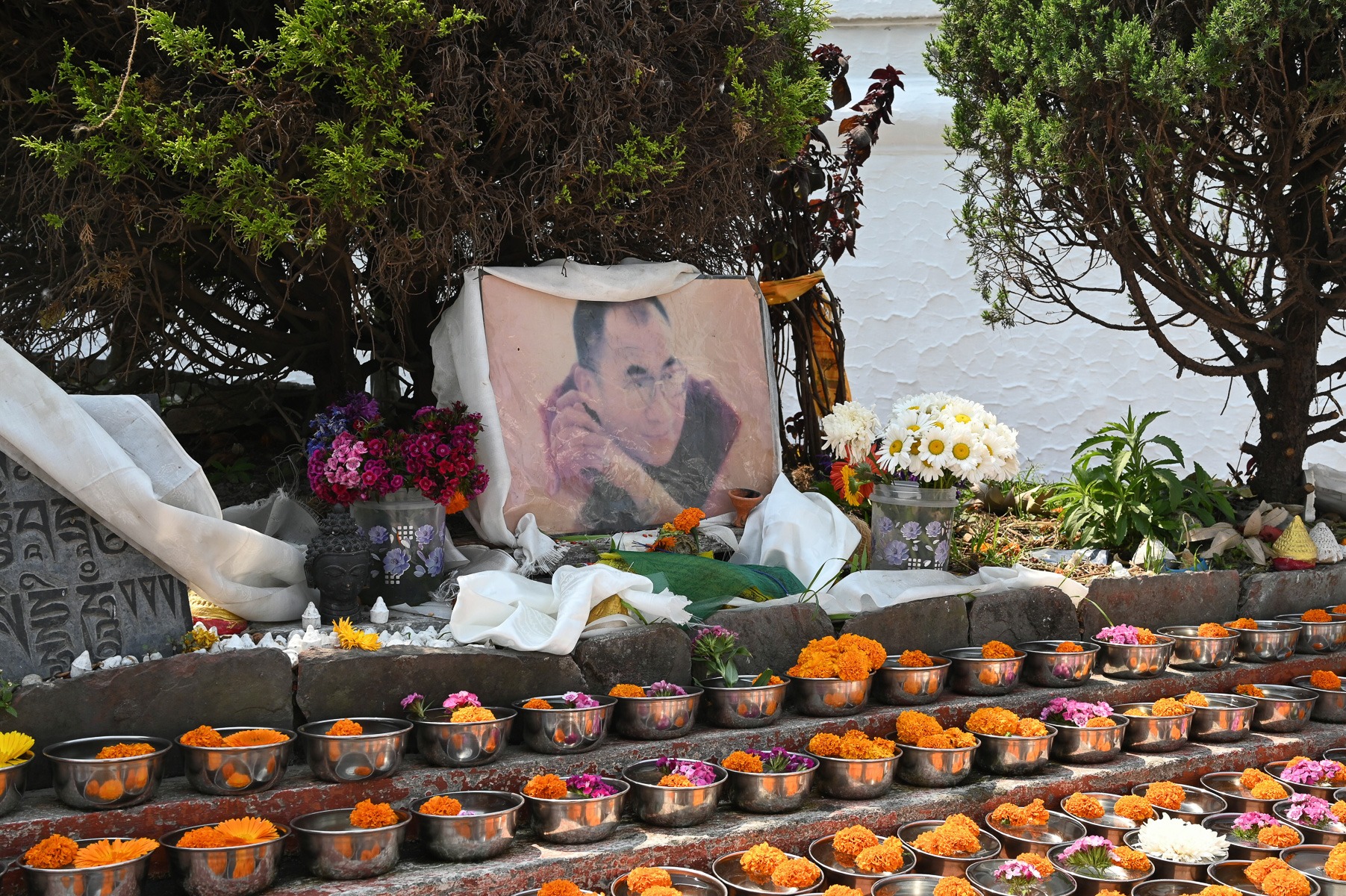 250325_59_DSC_2308 (1) 250325_59_DSC_2308 (1)