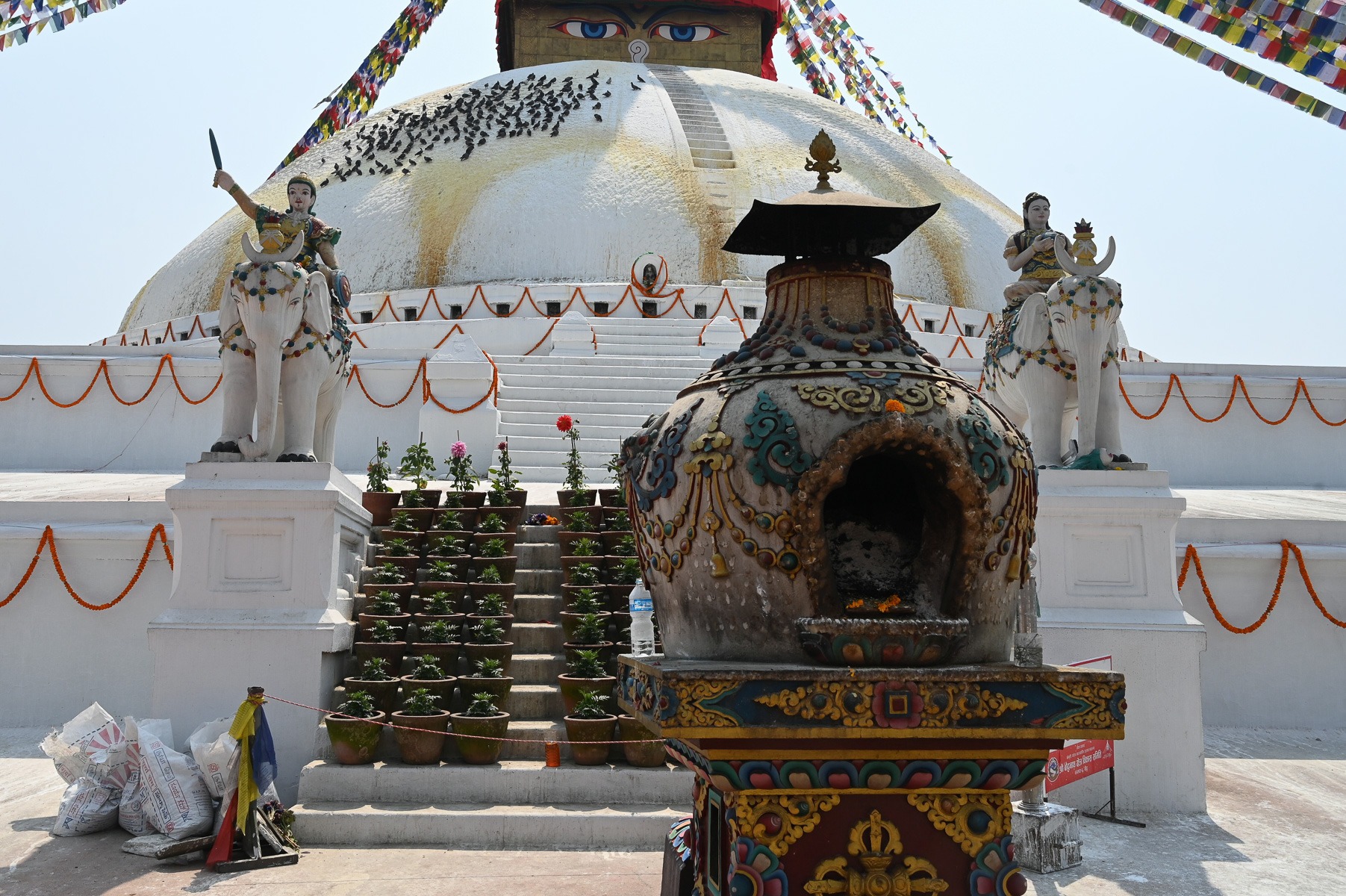 250325_62_DSC_2310 250325_62_DSC_2310