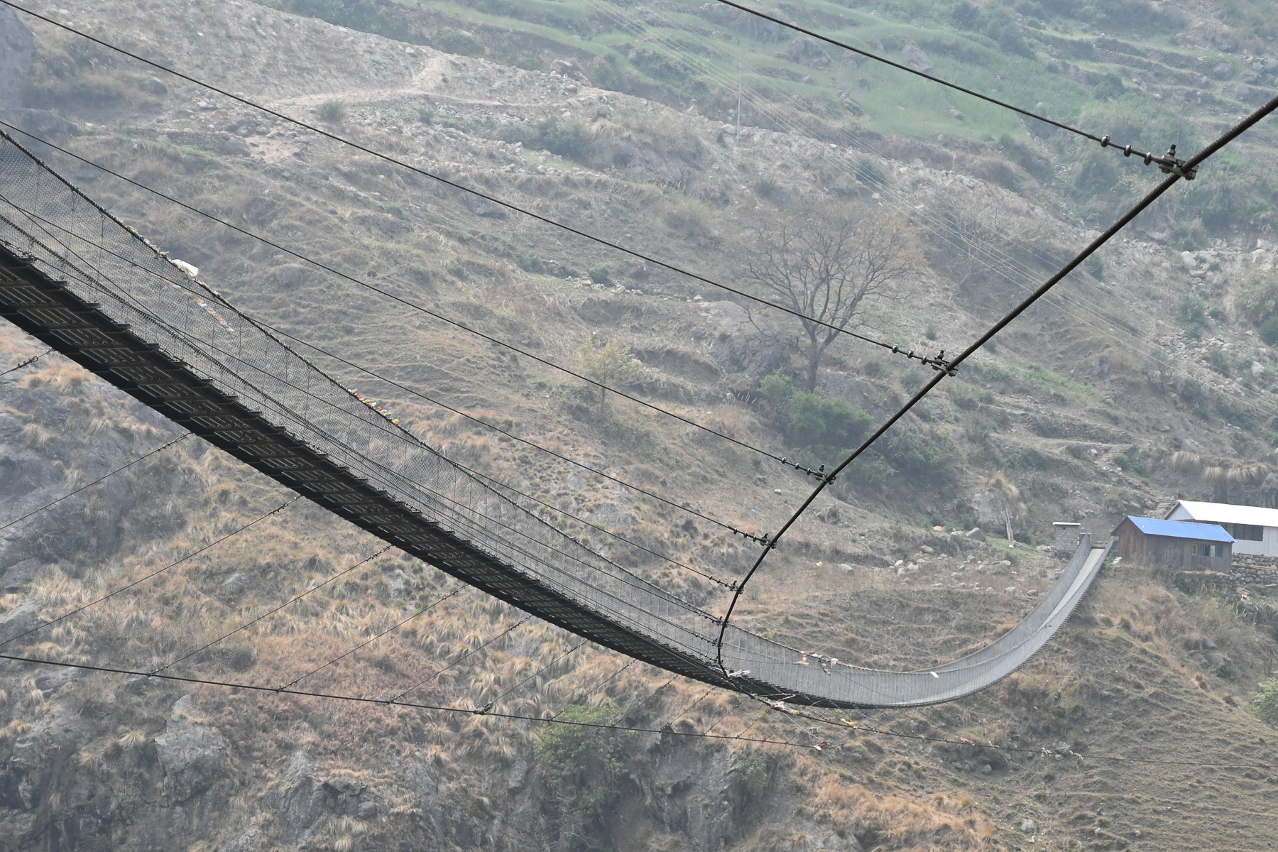 250328_42_DSC_2365b (1) 250328_42_DSC_2365b (1)