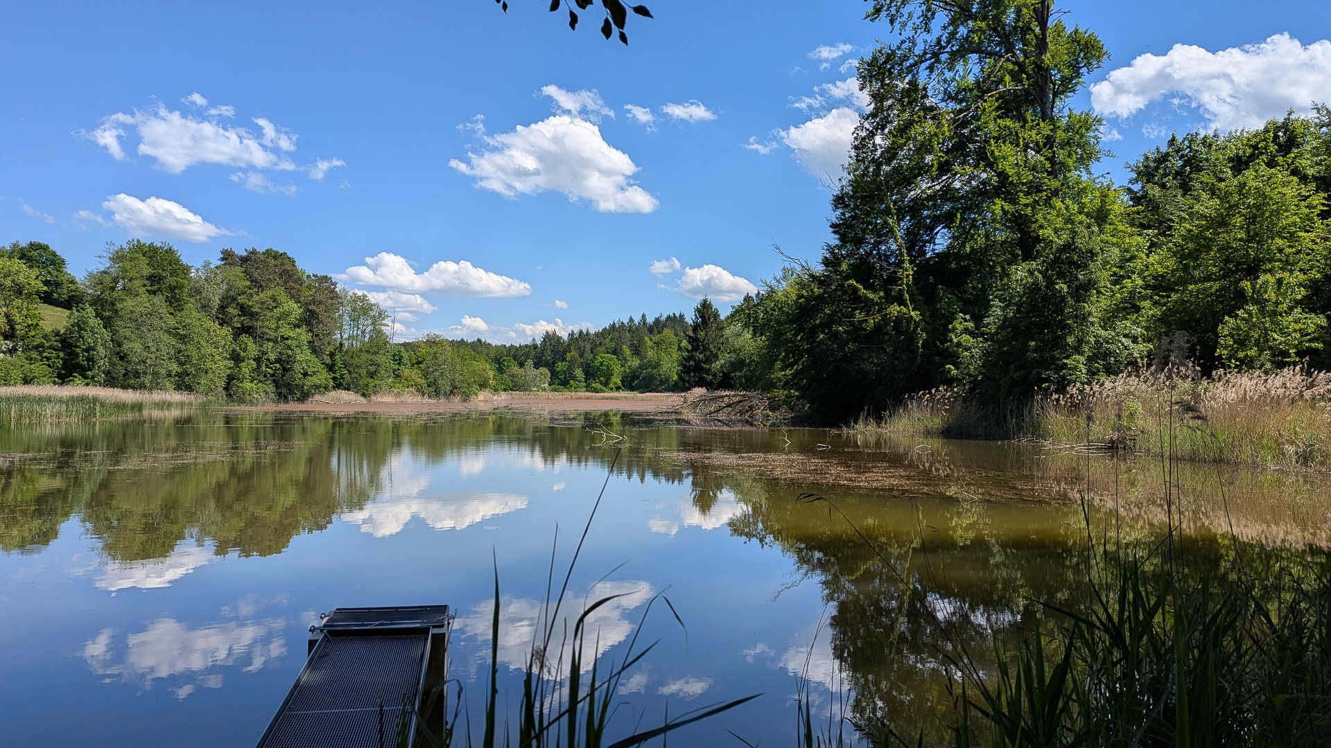 Neu_PXL_20250511_123744280 Neu_PXL_20250511_123744280