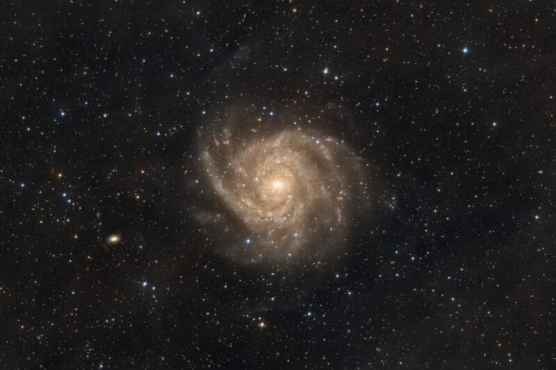 Spiralgalaxie IC342