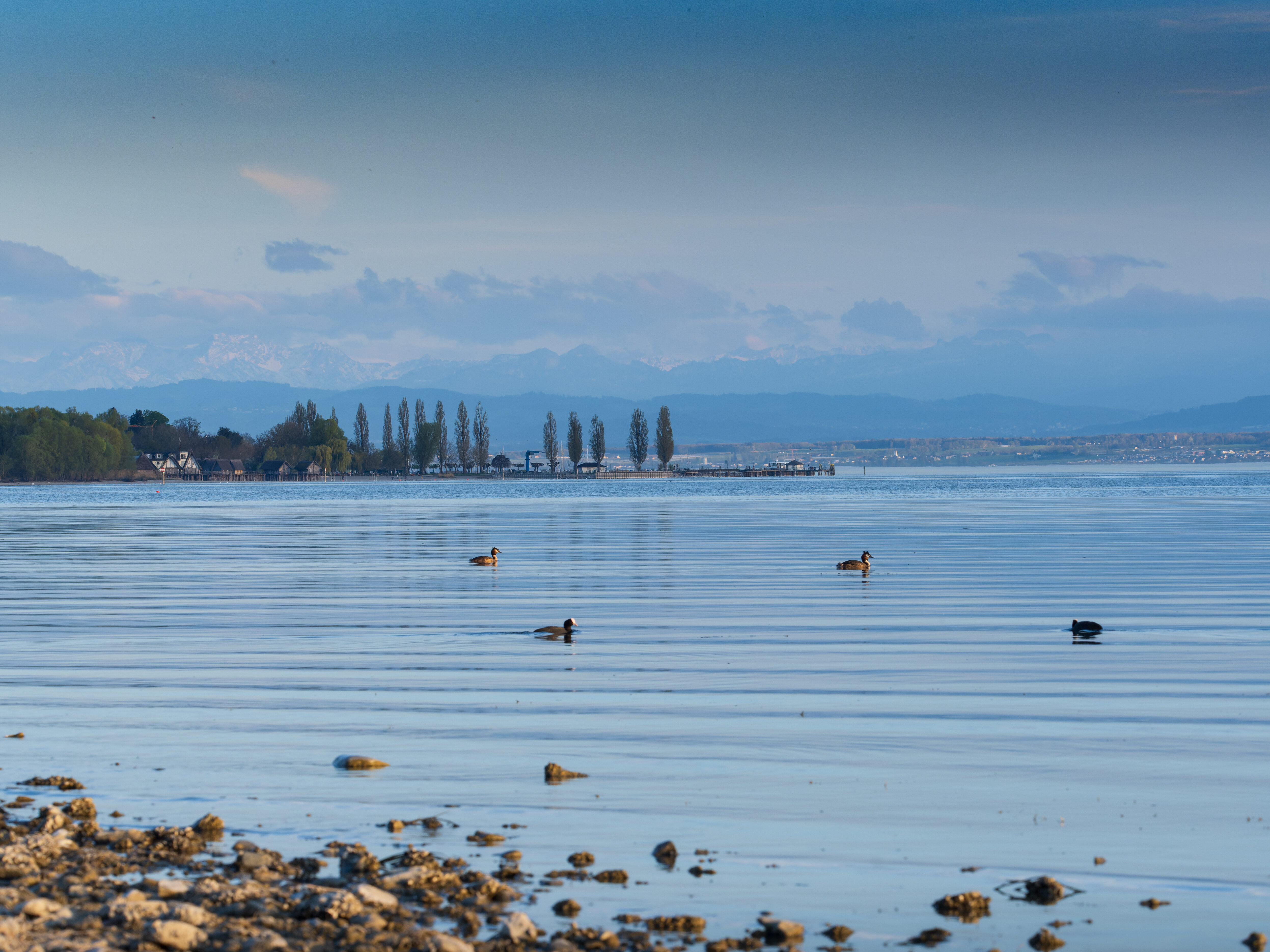 Bodensee Stimmung