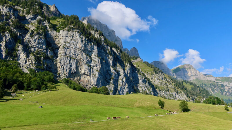 Alpenpendelverkehr
