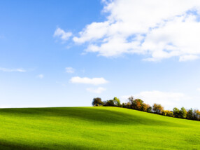 grün blau etwas rot
