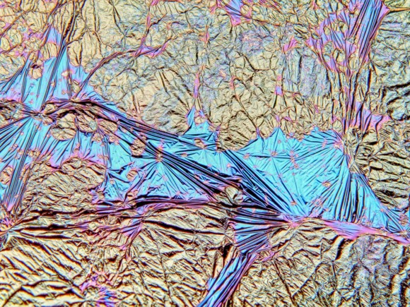 Fokusstack aus 15 Aufnahmen